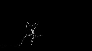 Değişik temizlik malzemelerinden oluşan set şişelerinin sürekli çizilmesinin animasyon çizimi dost temizliği sağlar. Minimum konsept. Yüksek kalite 4k görüntü