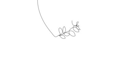 Animated self drawing of bottles with oil or honey or lemon or lime juice for scrubbing and body skin care with natural herbal skin care products. High quality footage