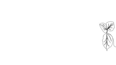 Animated self drawing of bottles with oil or honey or lemon or lime juice for scrubbing and body skin care with natural herbal skin care products. High quality footage