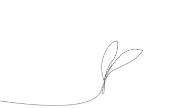 Animated self drawing of bottles with oil or honey or lemon or lime juice for scrubbing and body skin care with natural herbal skin care products. High quality footage