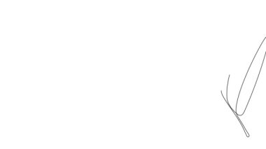 Animated self drawing of bottles with oil or honey or lemon or lime juice for scrubbing and body skin care with natural herbal skin care products. High quality footage