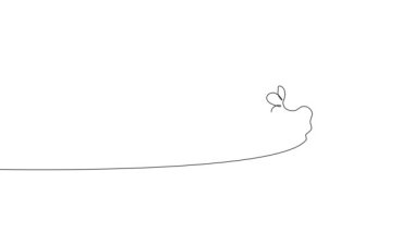 Animated self drawing of bottles with oil or honey or lemon or lime juice for scrubbing and body skin care with natural herbal skin care products. High quality footage