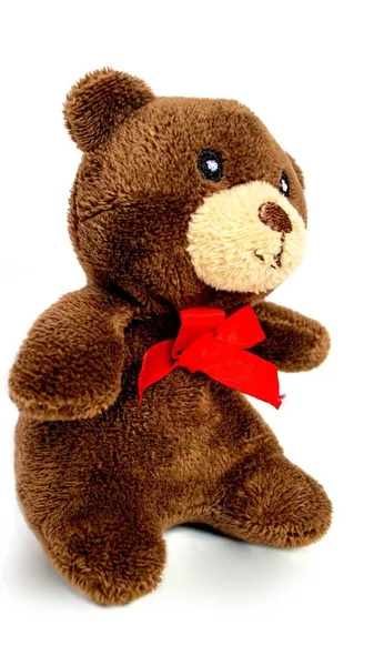 Lovely Brown Bear Doll Isolated White Background Adorable Teddy Bear — Fotografia de Stock