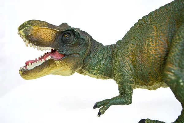 Іграшка Динозаврів Tyrannosaurus Ізольована Білому Тлі Відсічним Контуром Високоякісна Фотографія — стокове фото