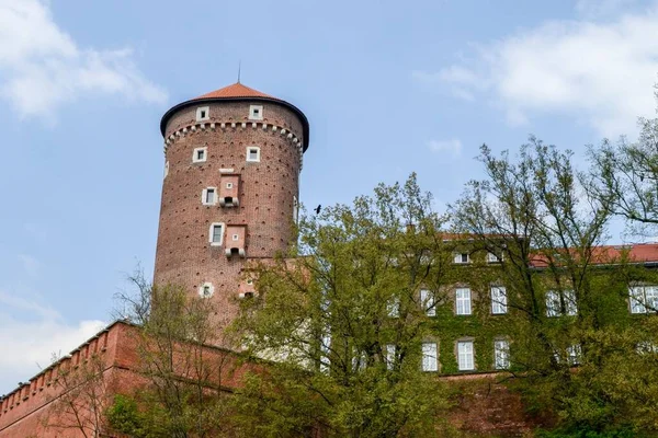 Krakau Polen Mai 2021 Die Königliche Burg Auf Dem Wawel — Stockfoto