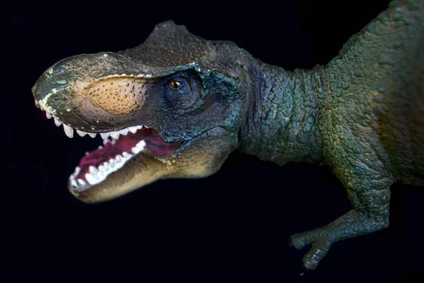 Tyrannosaurus Dinozorları Beyaz Arka Planda Kırpma Yolu Ile Izole Edilmiş — Stok fotoğraf