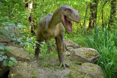 Jurasik dünyadan bir sahnede bir dinazor gösteriliyor. Parktaki dinozor modeli. Dev Tyrannosaurus parktaki bir sergide.