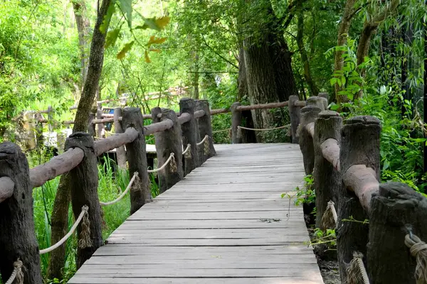 Кривой Деревянный Мост Глубоко Лесу Старый Пешеходный Мост Покрытый Зеленью — стоковое фото