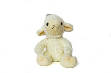 Oyuncak ayı kahverengi, oyuncak ayı bebek beyaz arka planda izole edilmiş. Yüksek kalite fotoğraf