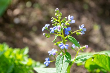 2020 'de Romanya' nın Targoviste kentindeki lunaparkta çocuklar dönme dolapta zincirlerle, atlıkarınca kayak broşürleriyle eğleniyorlardı. Yüksek kalite fotoğraf
