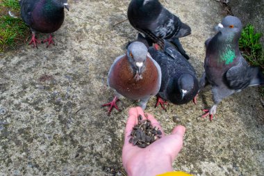 2020 'de Romanya' nın Targoviste kentindeki lunaparkta çocuklar dönme dolapta zincirlerle, atlıkarınca kayak broşürleriyle eğleniyorlardı. Yüksek kalite fotoğraf