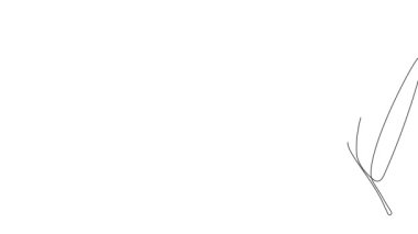 Animated self drawing of bottles with oil or honey or lemon or lime juice for scrubbing and body skin care with natural herbal skin care products. High quality footage