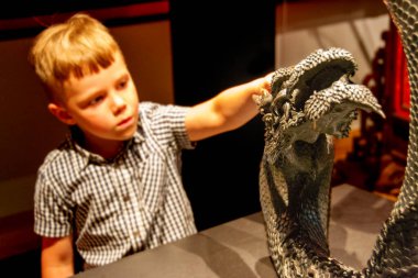 Antik Heykel Müzesi 'ndeki sergiye bakan genç bir çocuğun öğretmeni, bir şeye işaret ediyor. Yüksek kalite fotoğraf