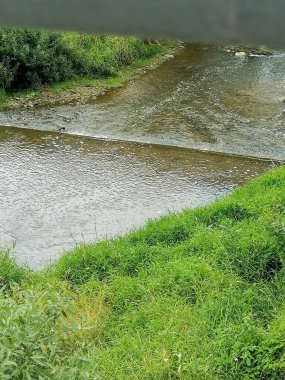 Çimleri ve güzel gökyüzü olan yeşil doğal çayır. Yeşil orman ve bulutlarla kaplı dağlık bir arazi. Yüksek kalite fotoğraf