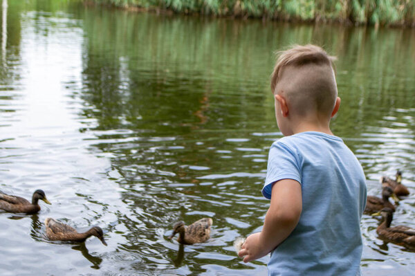 Красивый подросток запускает воздушного змея в море в голубом небе, крупным планом. Высокое качество фото
