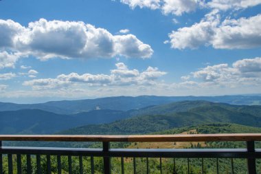 Yazın dağdaki yeşil orman doğal manzarası. Güzel, renkli bir yaz baharı. Park 'ın doğal manzarası. Güneş ışığındaki ağaçların yeşil yapraklarıyla çevrili. Yüksek kalite fotoğraf