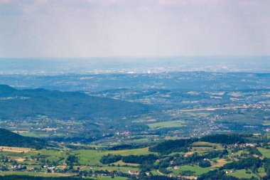 Yazın dağdaki yeşil orman doğal manzarası. Güzel, renkli bir yaz baharı. Park 'ın doğal manzarası. Güneş ışığındaki ağaçların yeşil yapraklarıyla çevrili. Yüksek kalite fotoğraf