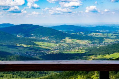 Yazın dağdaki yeşil orman doğal manzarası. Güzel, renkli bir yaz baharı. Park 'ın doğal manzarası. Güneş ışığındaki ağaçların yeşil yapraklarıyla çevrili. Yüksek kalite fotoğraf