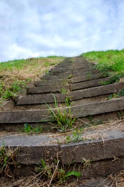 Parkta yeşil çimenli, kavisli beton merdiven. Yüksek kalite fotoğraf