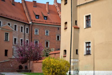 Güzel Krakow pazar meydanı. Soluk renkler. Güzel giyimli atları olan klasik arabalar Avrupa 'nın eski sokaklarında Krakow' un tarihi merkezinde insanlara biniyor.