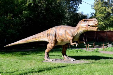 Dino Park 'taki hadrosaurus, çocuk savaş sahnesi için Dino Parkı' ndaki baş Parasaurolophus dinozorunu kapatır. Dinozor, güneşli bir yaz gününde ağaçların arasında ormanda duruyor. Yüksek kalite fotoğraf