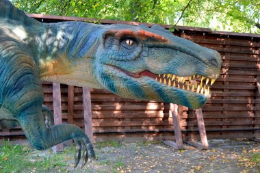 Dino Park 'taki hadrosaurus, çocuk savaş sahnesi için Dino Parkı' ndaki baş Parasaurolophus dinozorunu kapatır. Dinozor, güneşli bir yaz gününde ağaçların arasında ormanda duruyor. Yüksek kalite fotoğraf