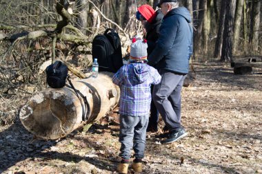 Yüksek telli parka tırmanan insanlar. Dağ miğferi ve güvenlik ekipmanları takan insanlar. Yüksek kalite fotoğraf. Yüksek kalite fotoğraf