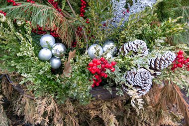 Yüksek telli parka tırmanan insanlar. Dağ miğferi ve güvenlik ekipmanları takan insanlar. Yüksek kalite fotoğraf. Yüksek kalite fotoğraf