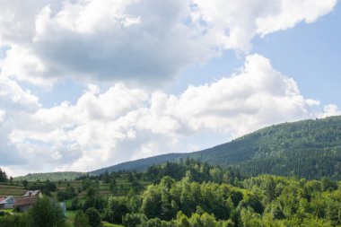 Yazın dağdaki yeşil orman doğal manzarası. Güzel, renkli bir yaz baharı. Park 'ın doğal manzarası. Güneş ışığındaki ağaçların yeşil yapraklarıyla çevrili. Yüksek kalite fotoğraf