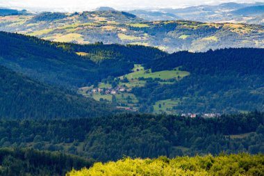 Green forest natural landscape on the mountain in summer. Beautiful colorful summer spring natural landscape in Park surrounded by green foliage of trees in sunlight. High quality photo clipart