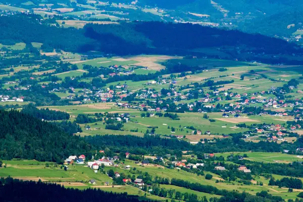 Yazın dağdaki yeşil orman doğal manzarası. Güzel, renkli bir yaz baharı. Park 'ın doğal manzarası. Güneş ışığındaki ağaçların yeşil yapraklarıyla çevrili. Yüksek kalite fotoğraf