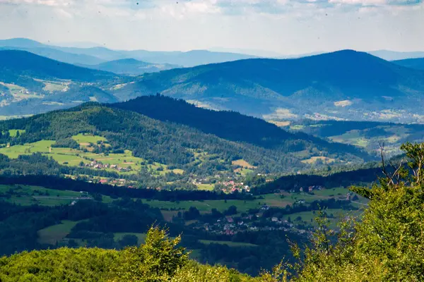 Yazın dağdaki yeşil orman doğal manzarası. Güzel, renkli bir yaz baharı. Park 'ın doğal manzarası. Güneş ışığındaki ağaçların yeşil yapraklarıyla çevrili. Yüksek kalite fotoğraf