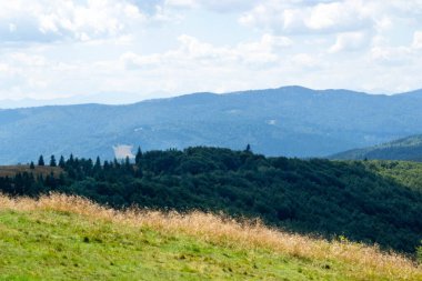 Yazın dağdaki yeşil orman doğal manzarası. Güzel, renkli bir yaz baharı. Park 'ın doğal manzarası. Güneş ışığındaki ağaçların yeşil yapraklarıyla çevrili. Yüksek kalite fotoğraf