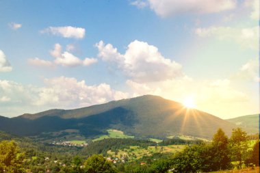 Green forest natural landscape on the mountain in summer. Beautiful colorful summer spring natural landscape in Park surrounded by green foliage of trees in sunlight. High quality photo clipart