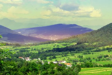 Green forest natural landscape on the mountain in summer. Beautiful colorful summer spring natural landscape in Park surrounded by green foliage of trees in sunlight. High quality photo clipart