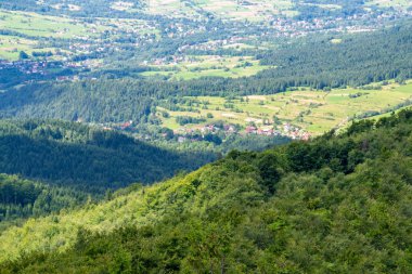 Yazın dağdaki yeşil orman doğal manzarası. Güzel, renkli bir yaz baharı. Park 'ın doğal manzarası. Güneş ışığındaki ağaçların yeşil yapraklarıyla çevrili. Yüksek kalite fotoğraf