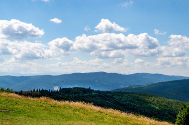 Green forest natural landscape on the mountain in summer. Beautiful colorful summer spring natural landscape in Park surrounded by green foliage of trees in sunlight. High quality photo clipart