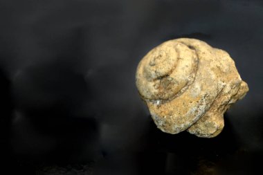 İçinde delik olan büyük bir kaya gibi doğal bir madde havada süzülüyor gibi görünüyor, natürmort fotoğrafçılıkta şaşırtıcı bir sanat hareketi yaratıyor.