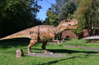 Dino Park 'taki hadrosaurus, çocuk savaş sahnesi için Dino Parkı' ndaki baş Parasaurolophus dinozorunu kapatır. Dinozor, güneşli bir yaz gününde ağaçların arasında ormanda duruyor. Yüksek kalite fotoğraf