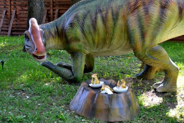 Dino Park 'taki hadrosaurus, çocuk savaş sahnesi için Dino Parkı' ndaki baş Parasaurolophus dinozorunu kapatır. Dinozor, güneşli bir yaz gününde ağaçların arasında ormanda duruyor. Yüksek kalite fotoğraf