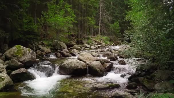 Sungai Beli Iskar Bulgaria Mengalir Melalui Batu Hutan Hijau — Stok Video
