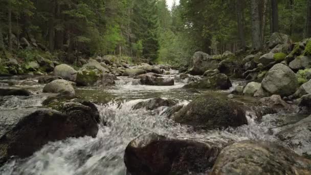 Beli Iskar Ποταμός Στη Βουλγαρία Τρέχει Μέσα Από Πέτρες Στο — Αρχείο Βίντεο