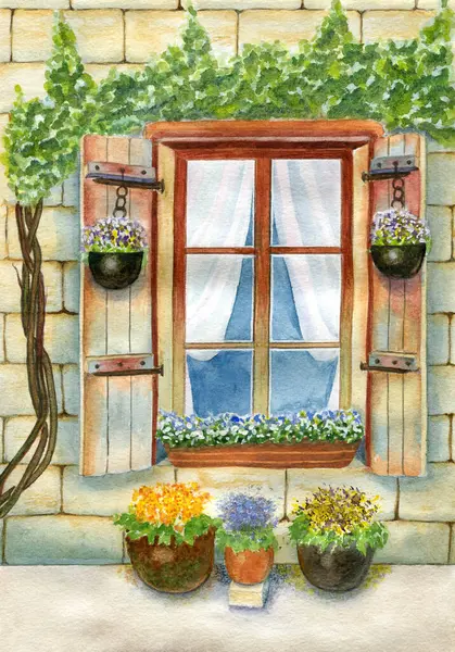 Eski bir ev duvarı, panjurlu bir pencere, saksıda çiçekler ve üzüm bağı. Elle boyanmış suluboya resimleme ve kağıt dokusu