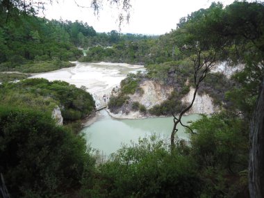 Waiotapu thermal wonderland, in volcanic area near Rotorua, North Island, New Zealand.