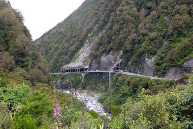 The Otira Gorge Road, near Arthurs Pass, South Island, New Zealand.