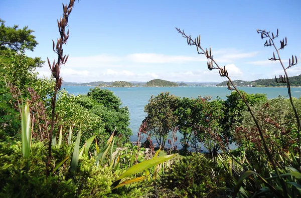 Nature and garden at Waitangi Treaty Grounds, North Island, New Zealand.