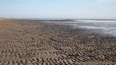 Kuzey Jutland, Danimarka 'daki Jerup plajı..