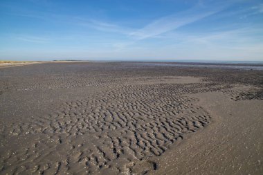 Kuzey Jutland, Danimarka 'daki Jerup plajı..