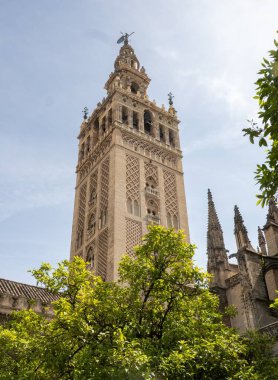Sevilla, Endülüs, İspanya 'daki Katedral' in dışında..