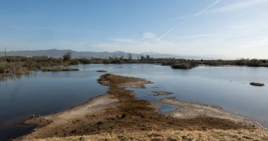 Pond Laguna Grande in nature reserve Guadalhorce near Malaga in Andalusia, Spain.